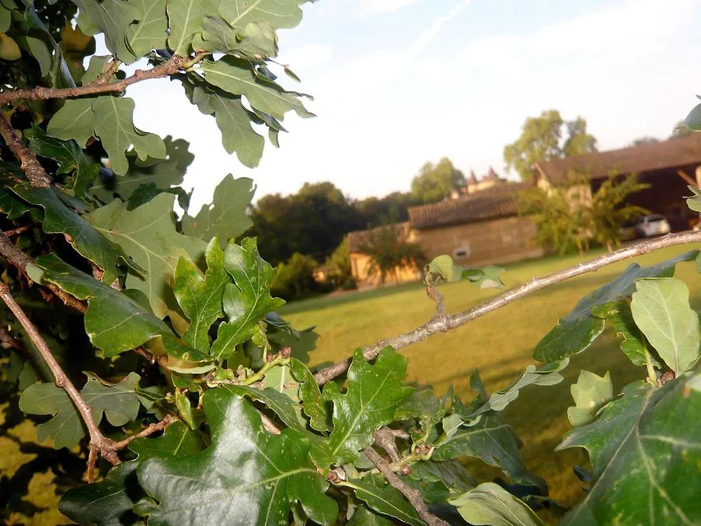 Гостевой дом Bed & Breakfast - Maison De Marie Messimy-sur-Saone